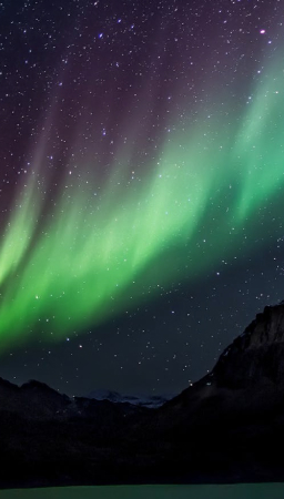 Pocket_Borealis